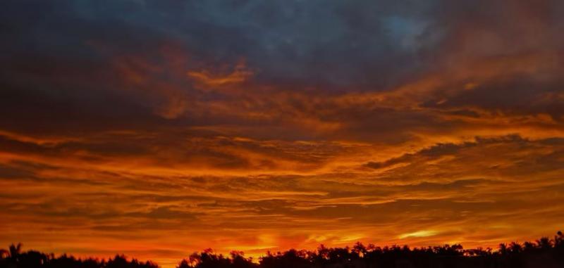 我偷黄昏一壶酒